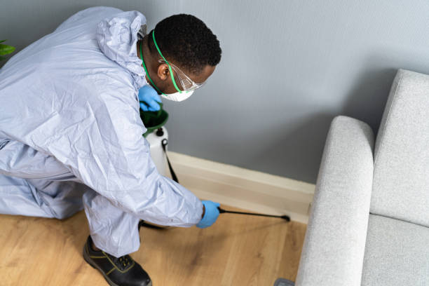 Best Residential Pest Control  in Reston, VA